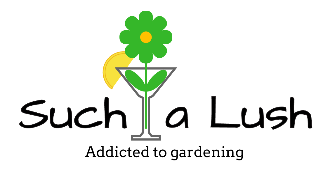 Get to Know Us » Such a Lush LLC: Syracuse, NY