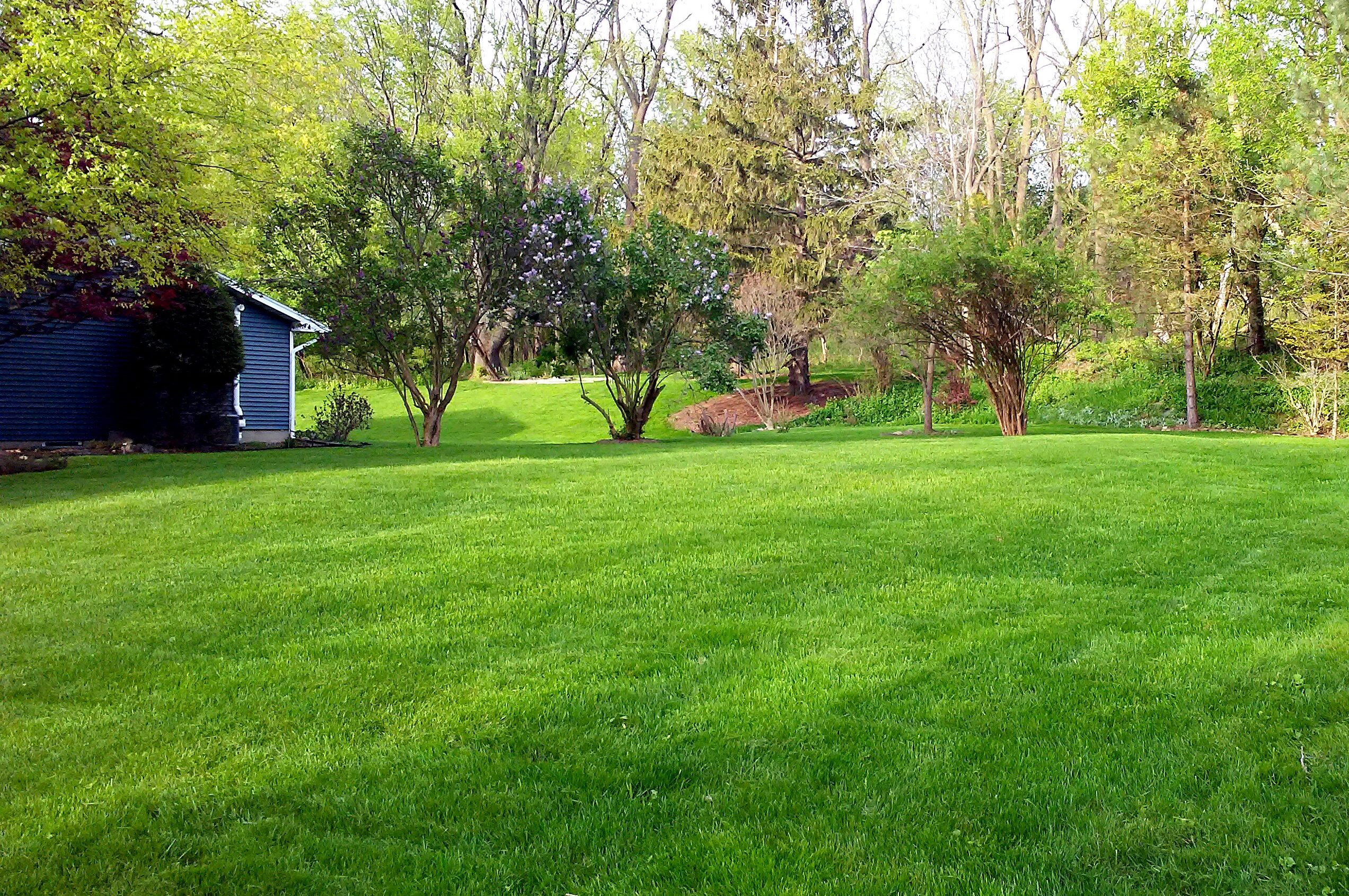 natural lawn; gardening and landscaping services; permaculture; eco-friendly; eco-care; eco-lawn; eco-grass; Syracuse, NY, Onondaga County; Such a Lush; lawn and garden; sustainable lawn; variable mowing