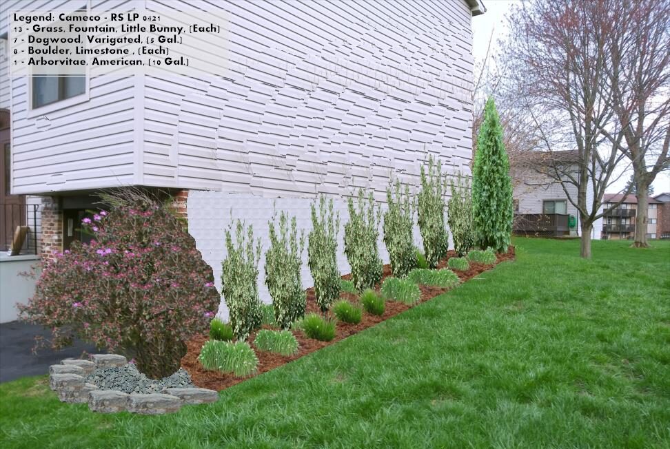 gardening and landscaping services; plants; design; Syracuse, NY; Onondaga County; Such a Lush; Lawn and Garden; border garden; edging; mulch, natural landscaping; green mulch; native plants; plantscapes