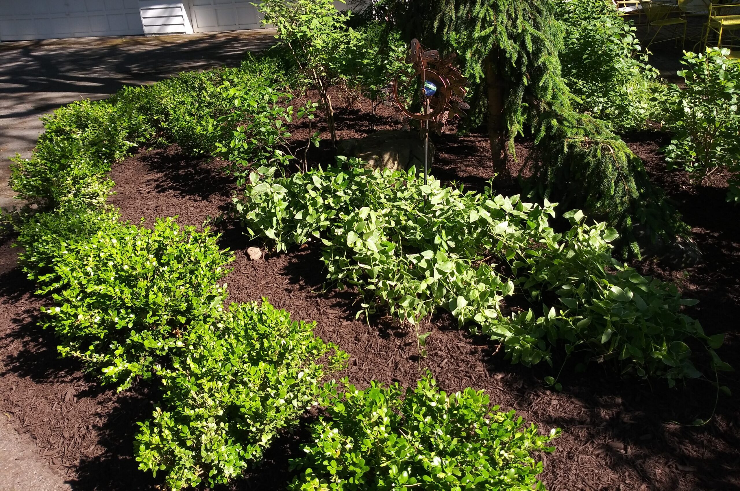 gardening and landscaping services; Syracuse, NY, Onondaga County; Such a Lush; lawn and garden; mulching; permaculture; premium double ground mulch; border garden