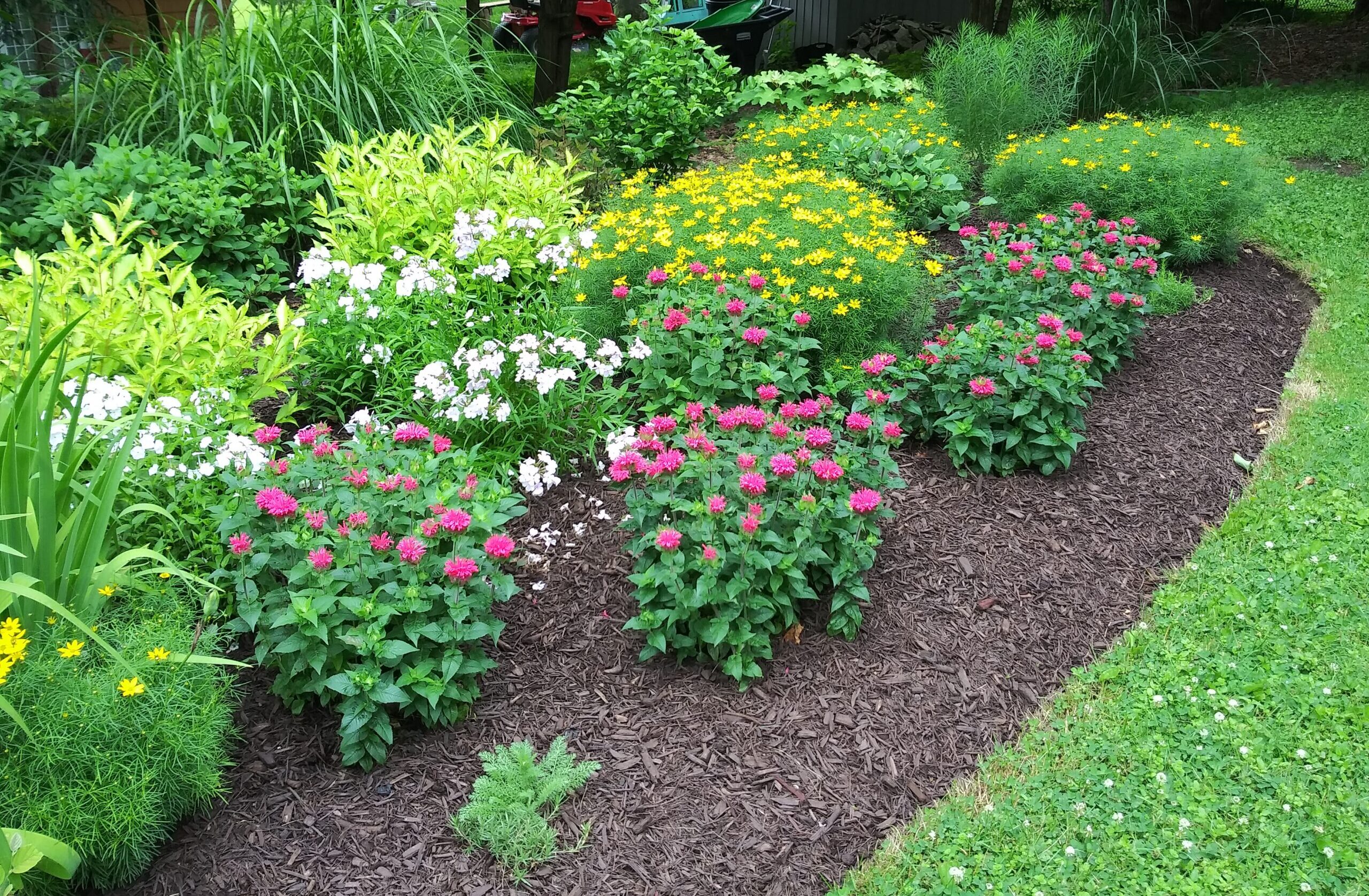 Gardening and landscaping services; native perennial plants garden; Syracuse, NY; Such a Lush; Lawn and Garden; border garden; Onondaga County; plantscapes; design