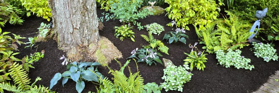 Get the sparkle for your yard!